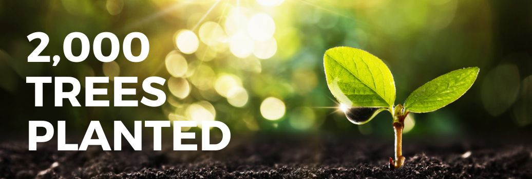 Preloved Tech Hits 2,000 Trees Planted