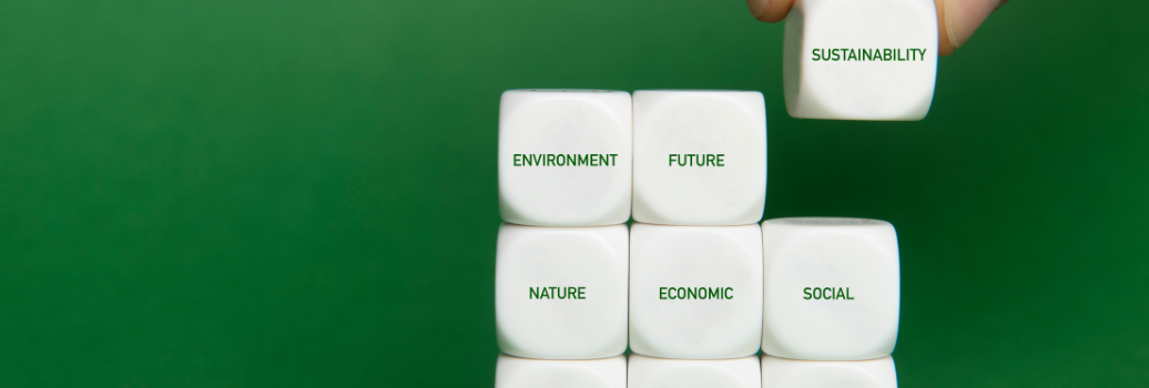 The Importance of Sustainability and Why Proper Recycling Matters